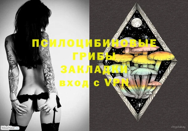ПСИЛОЦИБИНОВЫЕ ГРИБЫ Белокуриха
