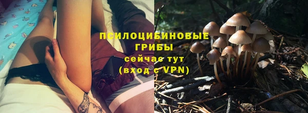 ПСИЛОЦИБИНОВЫЕ ГРИБЫ Белокуриха