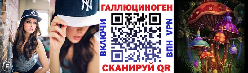 Галлюциногенные грибы Psilocybine cubensis  Чегем 